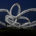 Tiger and Turtle at Night