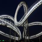 Tiger and Turtle