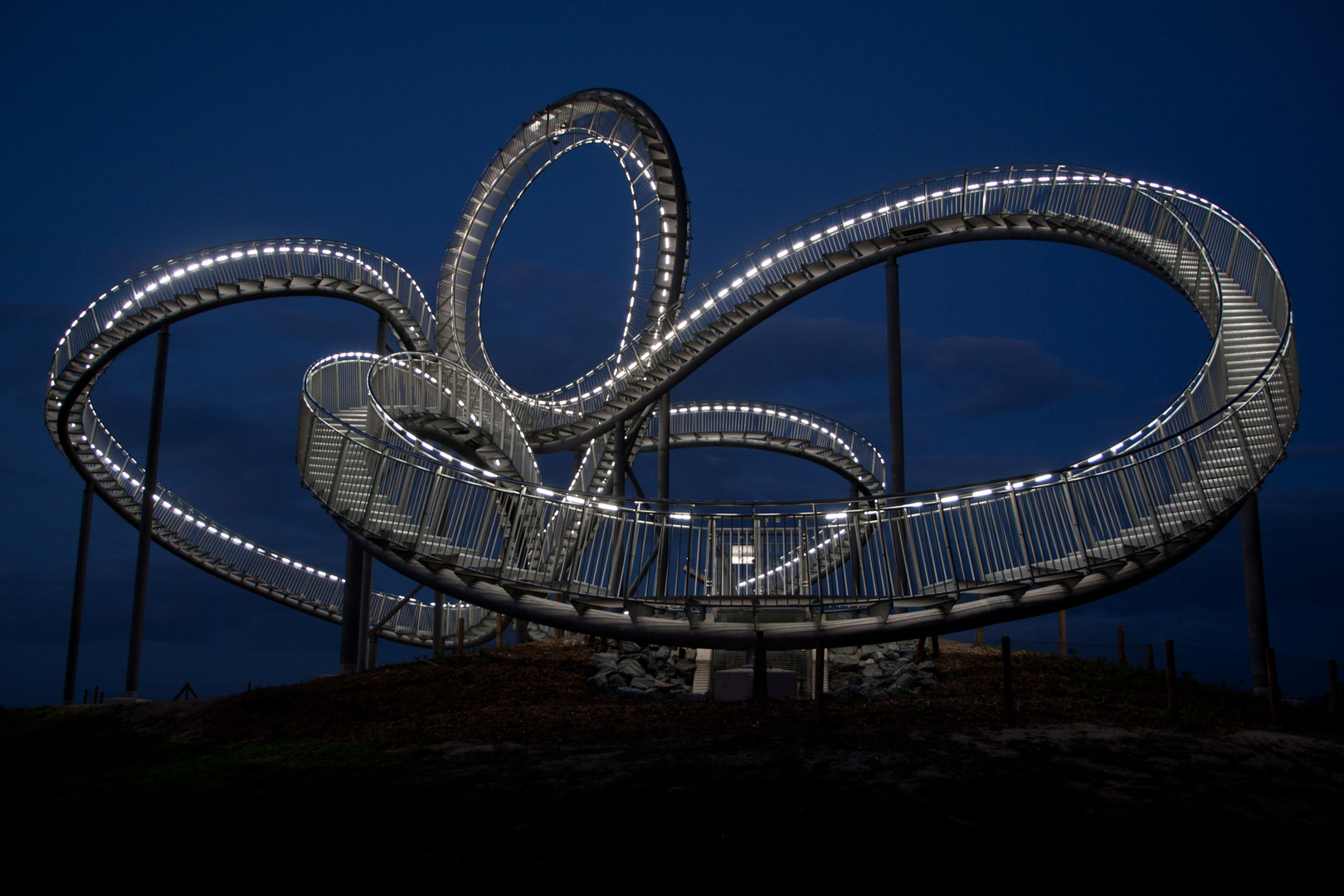 Tiger and turtle