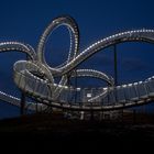 Tiger and turtle