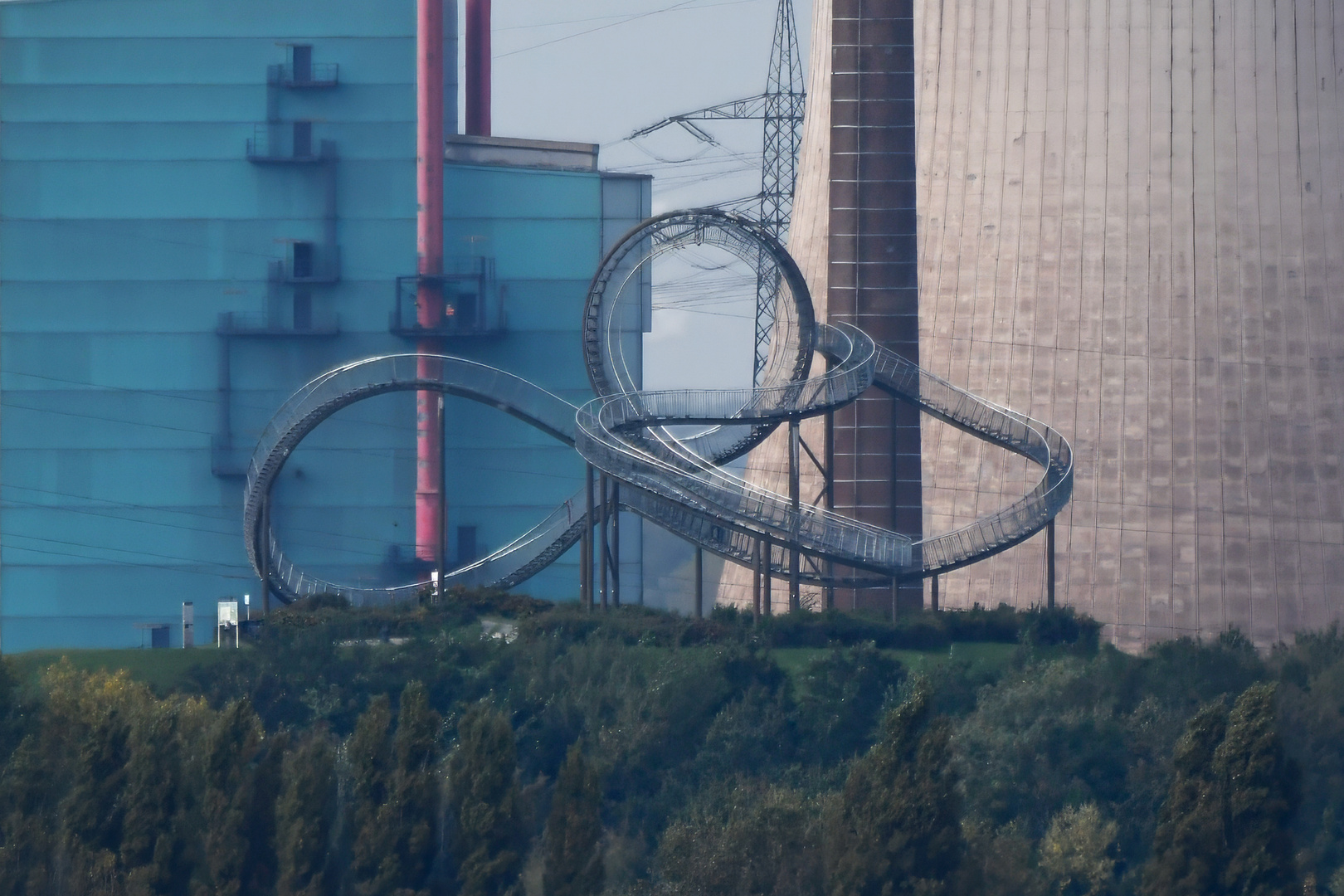 „Tiger and Turtle"