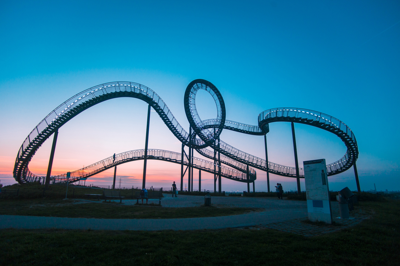 Tiger and Turtle 