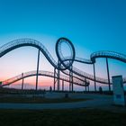 Tiger and Turtle 