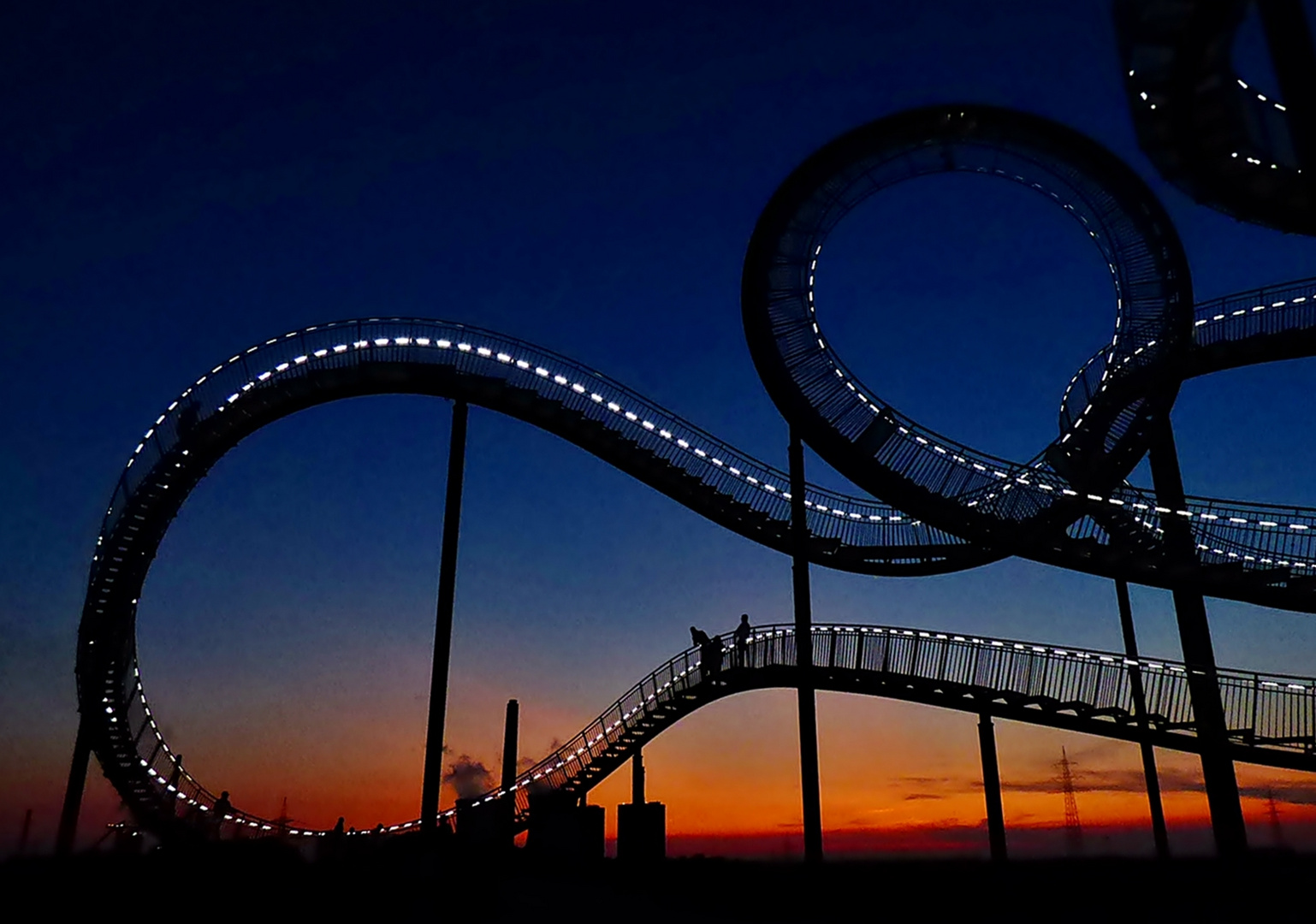 Tiger and Turtle . . .