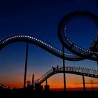 Tiger and Turtle . . .