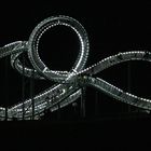 Tiger and Turtle