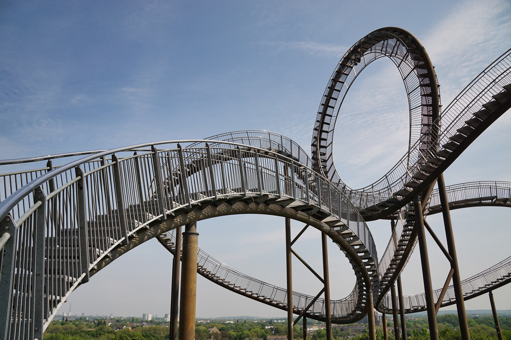 tiger and turtle