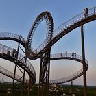 Tiger and Turtle.