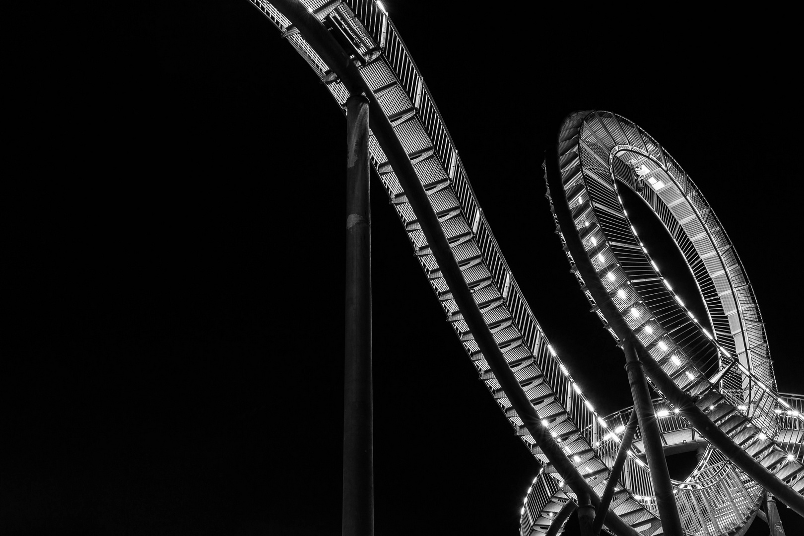 Tiger and Turtle 