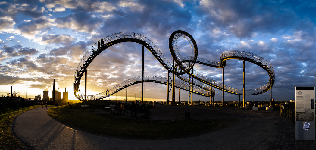 Tiger and Turtle