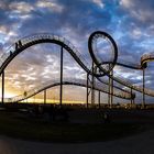 Tiger and Turtle