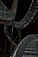 Tiger and Turtle bei Nacht