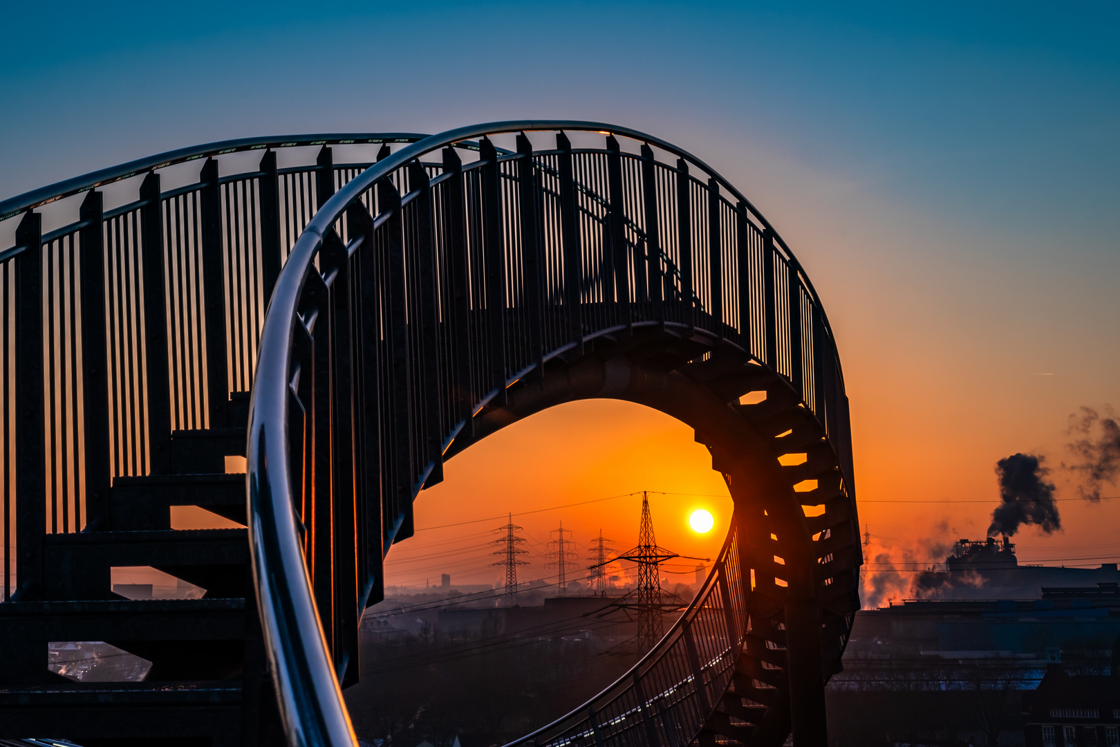 Tiger and Turtle