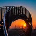 Tiger and Turtle