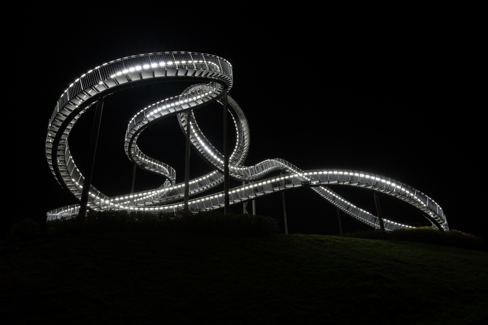 Tiger and Turtle