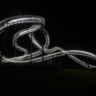 Tiger and Turtle