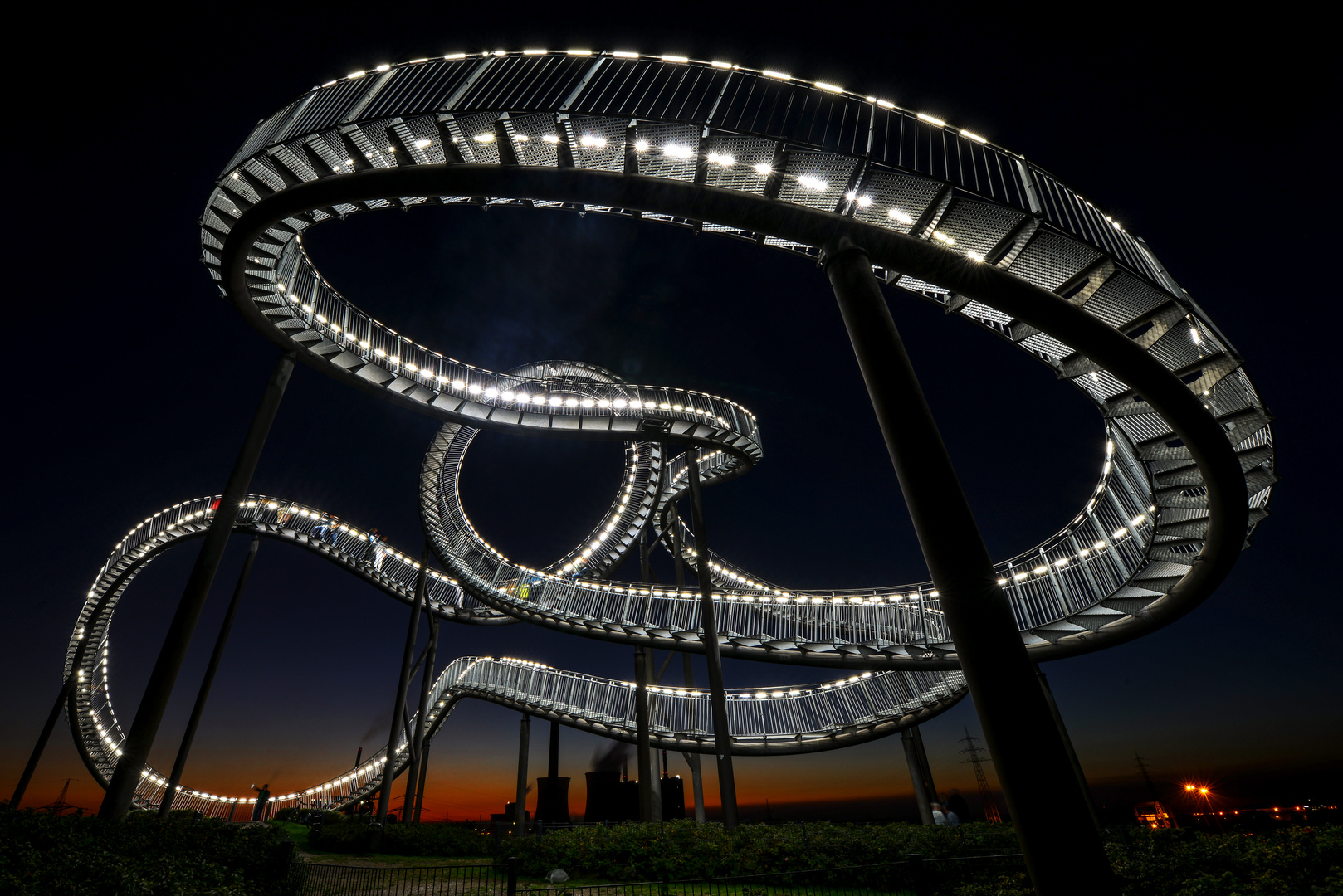 Tiger and Turtle