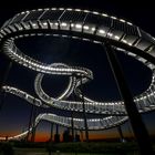 Tiger and Turtle