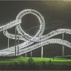 Tiger and Turtle by night 01