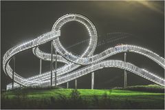 Tiger and Turtle by night 01