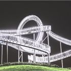 Tiger and Turtle by night 02