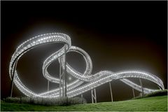 Tiger and Turtle by night 03