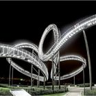 Tiger and Turtle by night 04