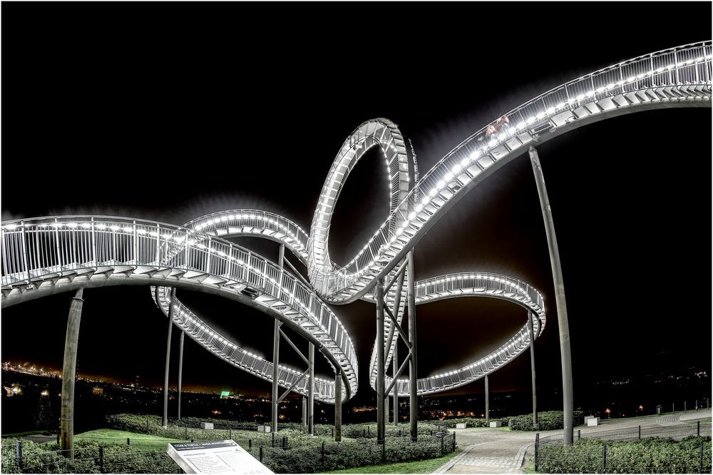 Tiger and Turtle by night 04