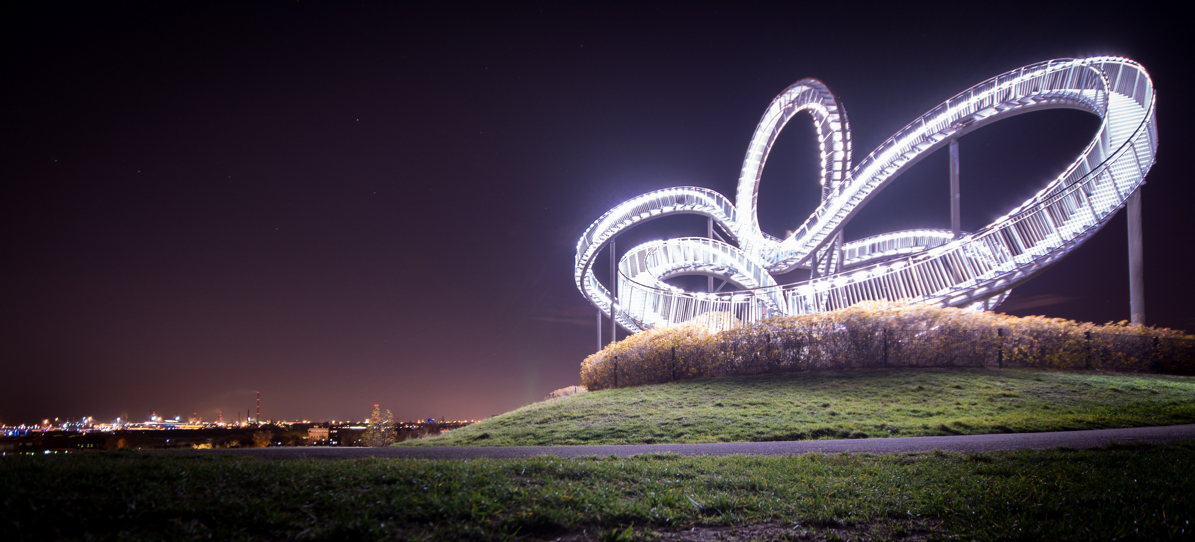 TIGER and TURTLE