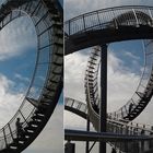 Tiger and Turtle