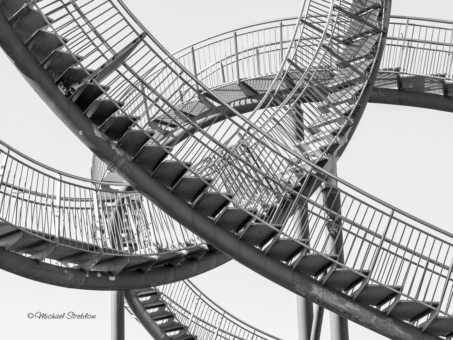 Tiger and Turtle