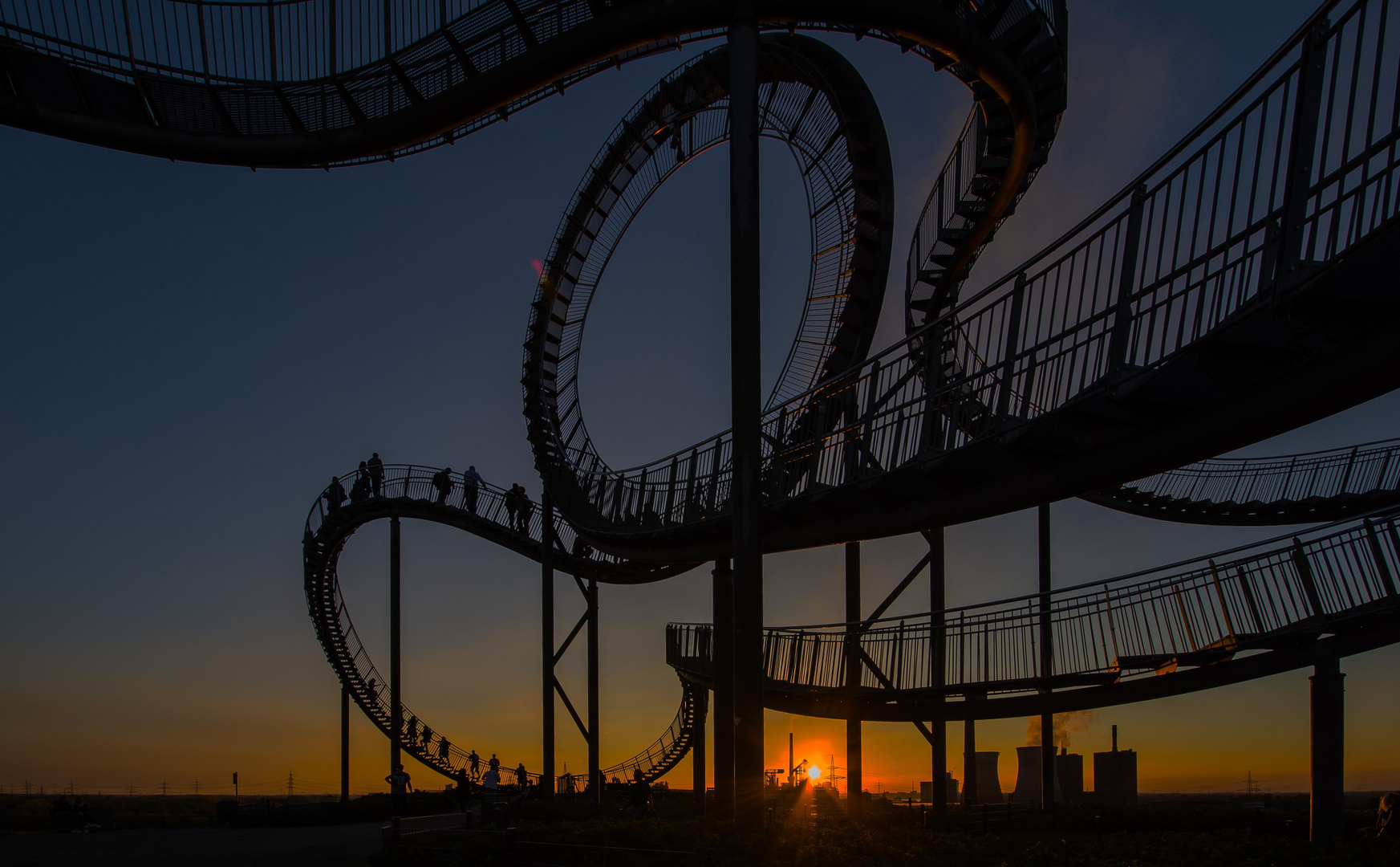 Tiger and Turtle °