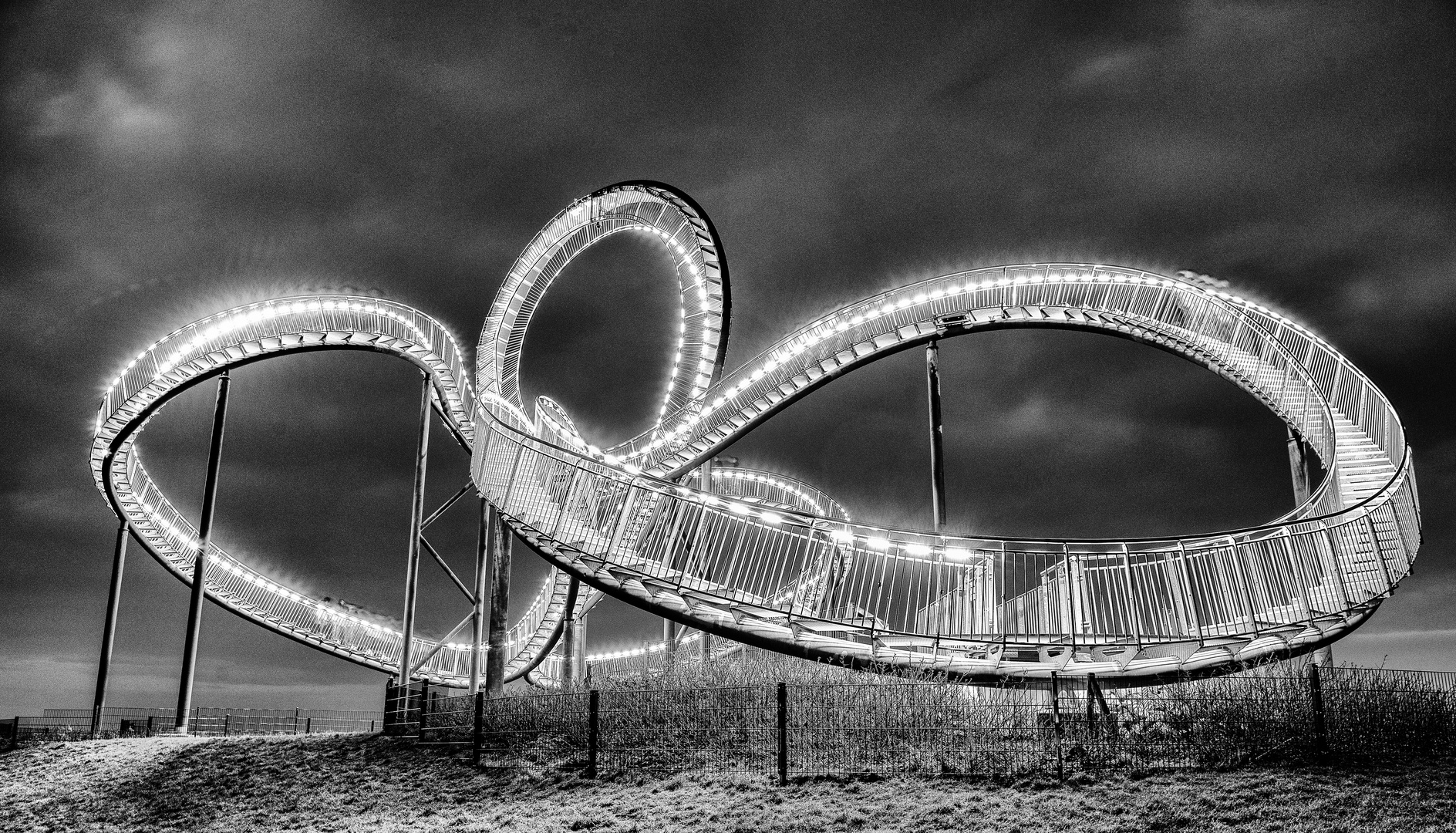 Tiger and Turtle