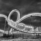 Tiger and Turtle