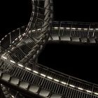 Tiger and Turtle