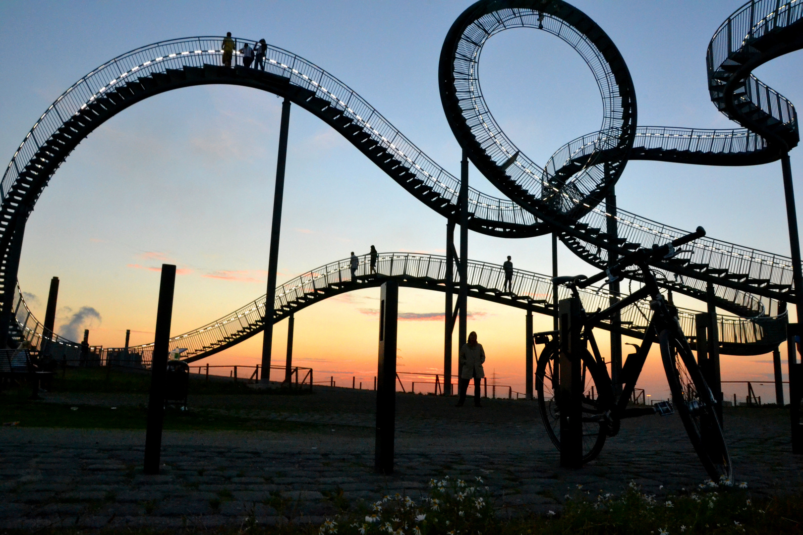 Tiger and Turtle