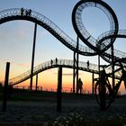 Tiger and Turtle