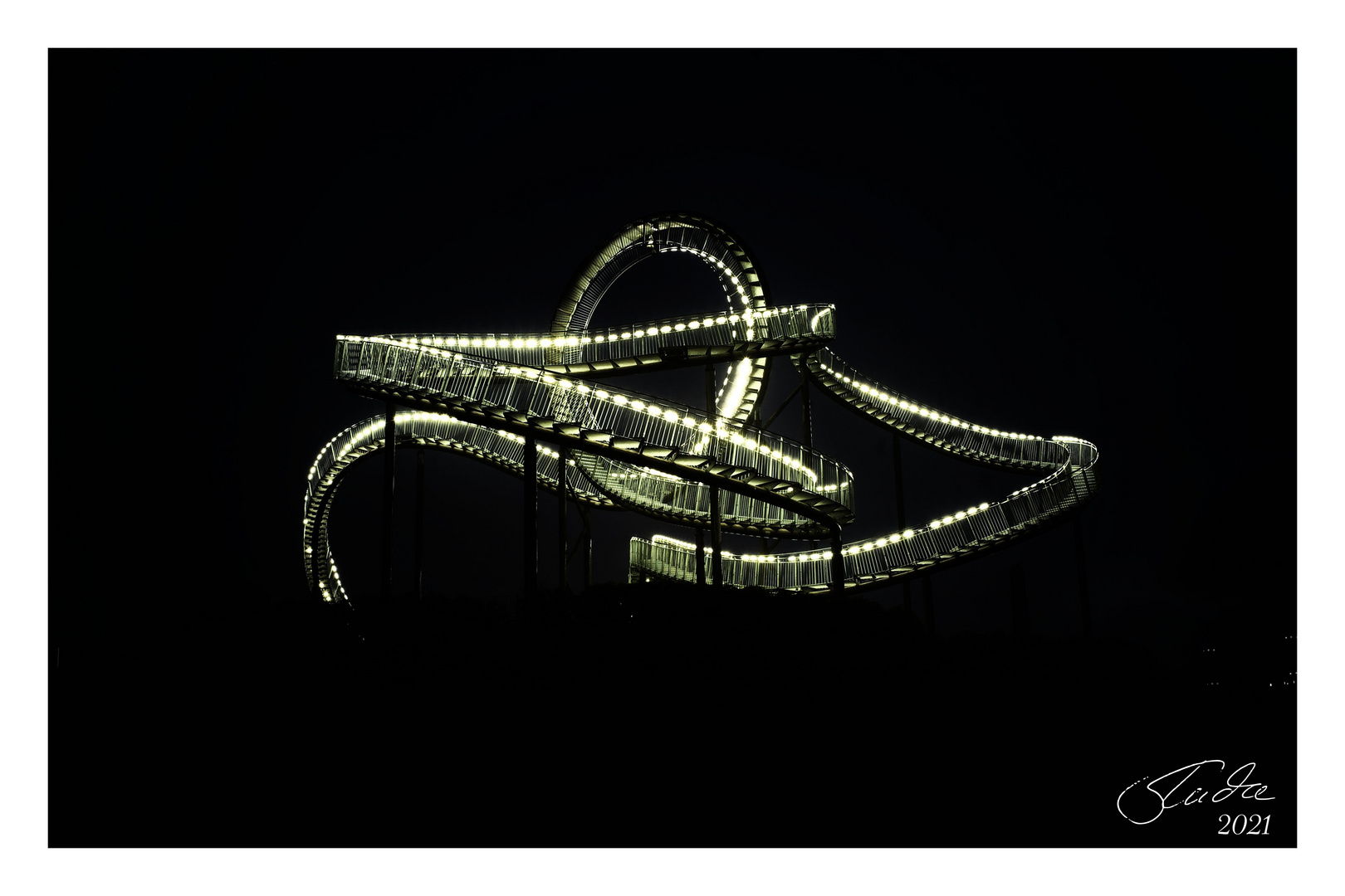 Tiger and Turtle