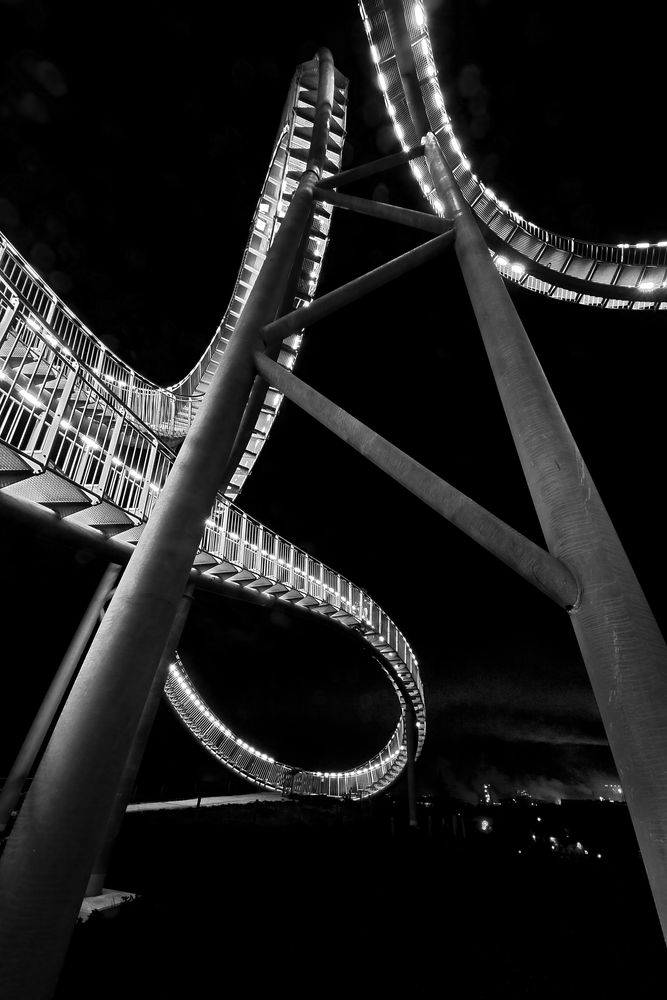 Tiger and Turtle