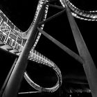 Tiger and Turtle