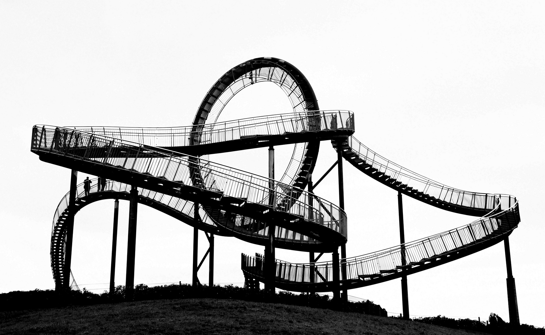 Tiger and Turtle.