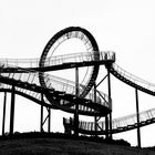 Tiger and Turtle.