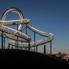 Tiger and Turtle