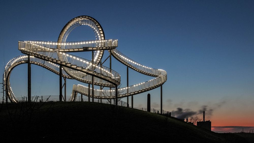 Tiger and Turtle