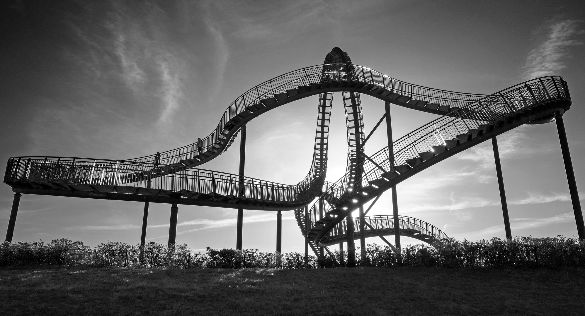 Tiger and turtle