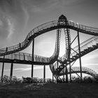 Tiger and turtle