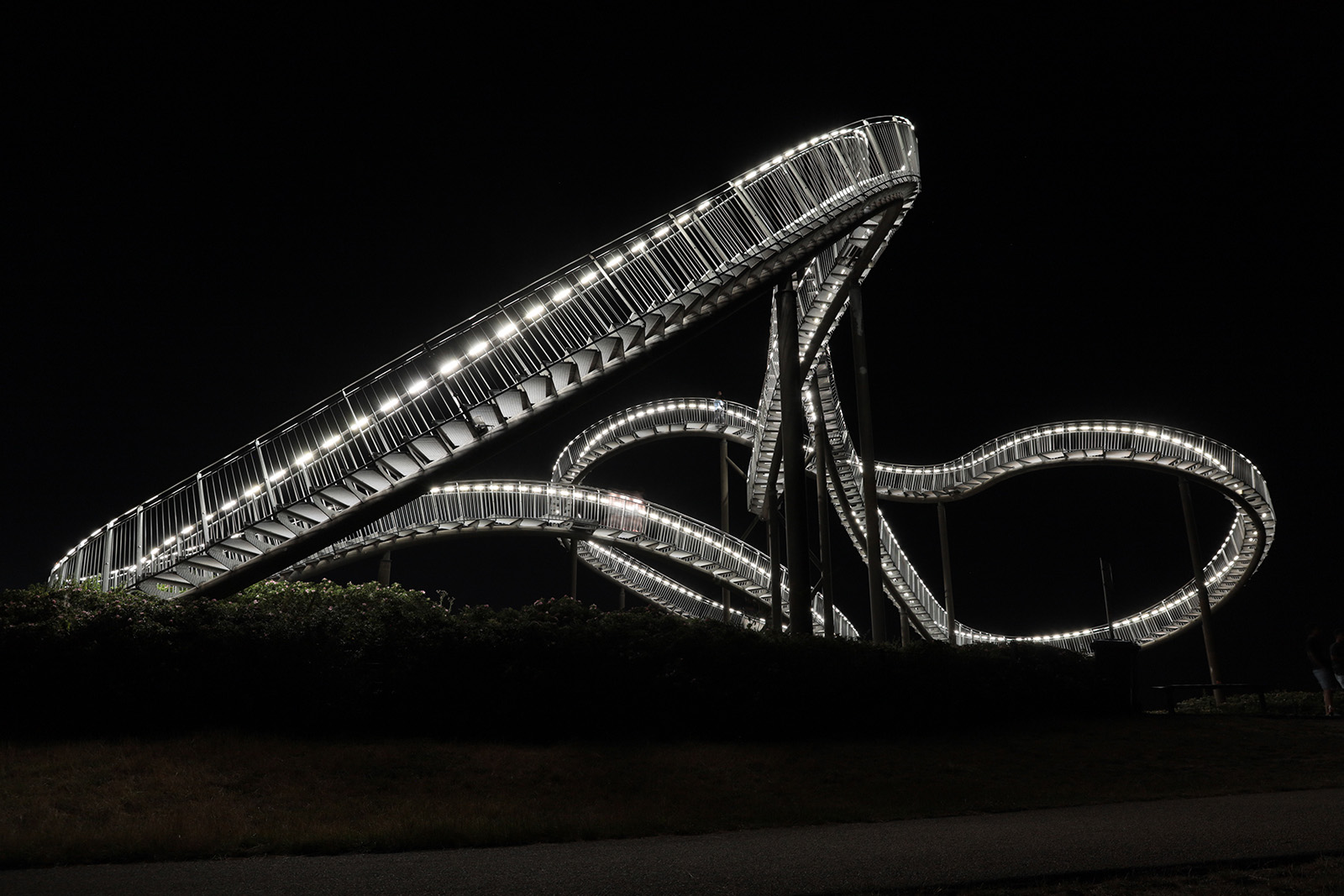 Tiger and Turtle