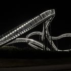 Tiger and Turtle