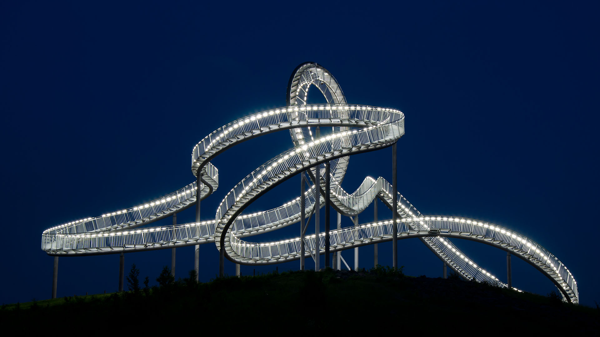 Tiger and turtle