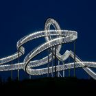 Tiger and turtle